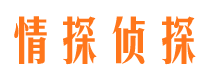 邵东市调查公司